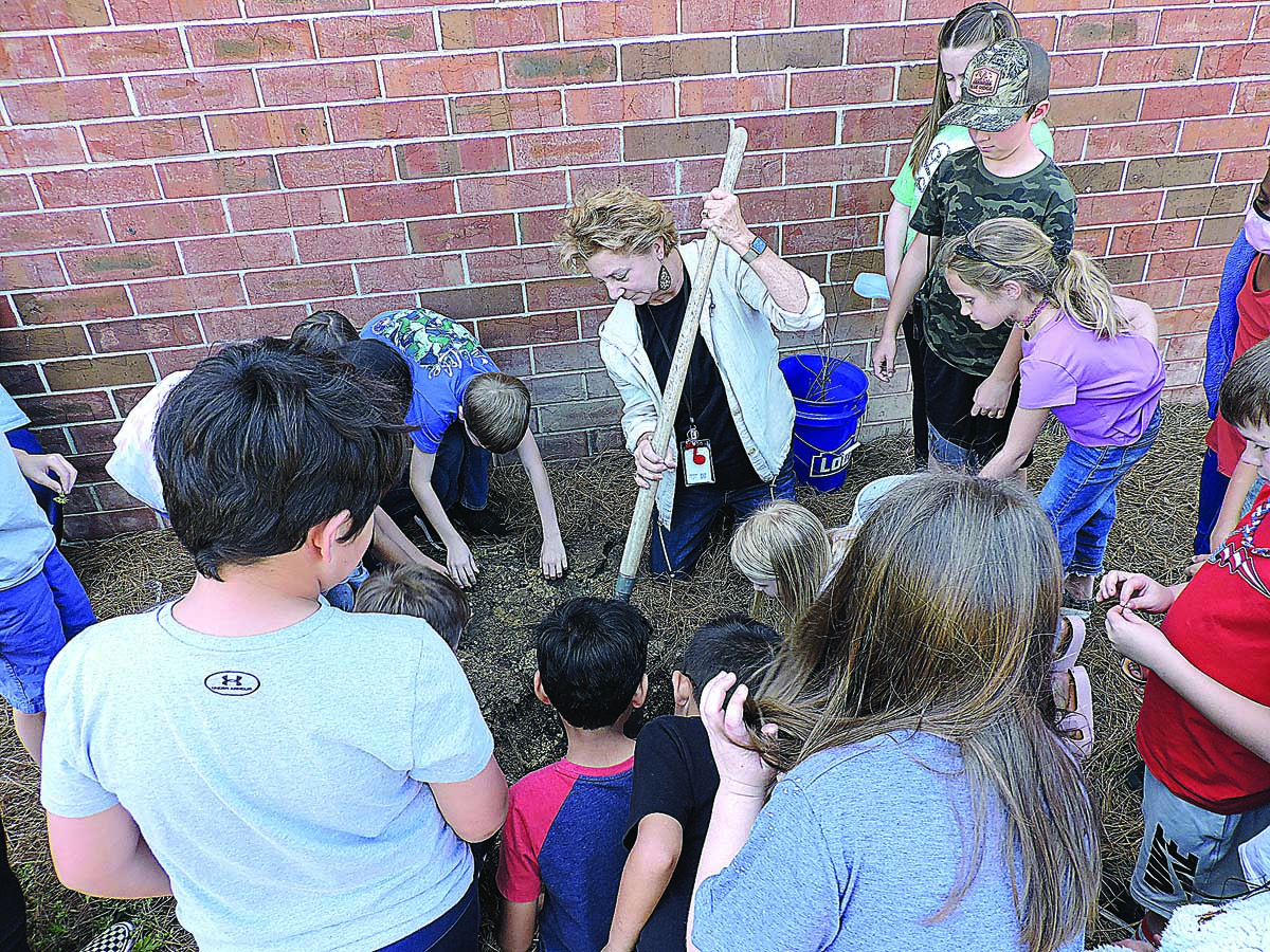 GEAR students plant tree for Arbor Day Moultrie Observer Moultrie