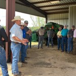 cattle tour with jeff powell