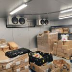 Food Bank boxes