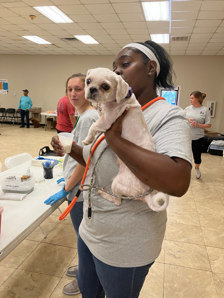 volunteer and dog after vaccine