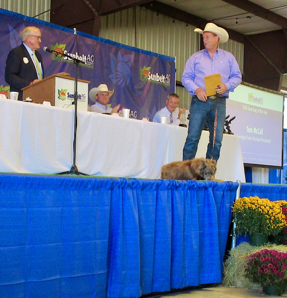 2025 Georgia Farm Dog of the Year